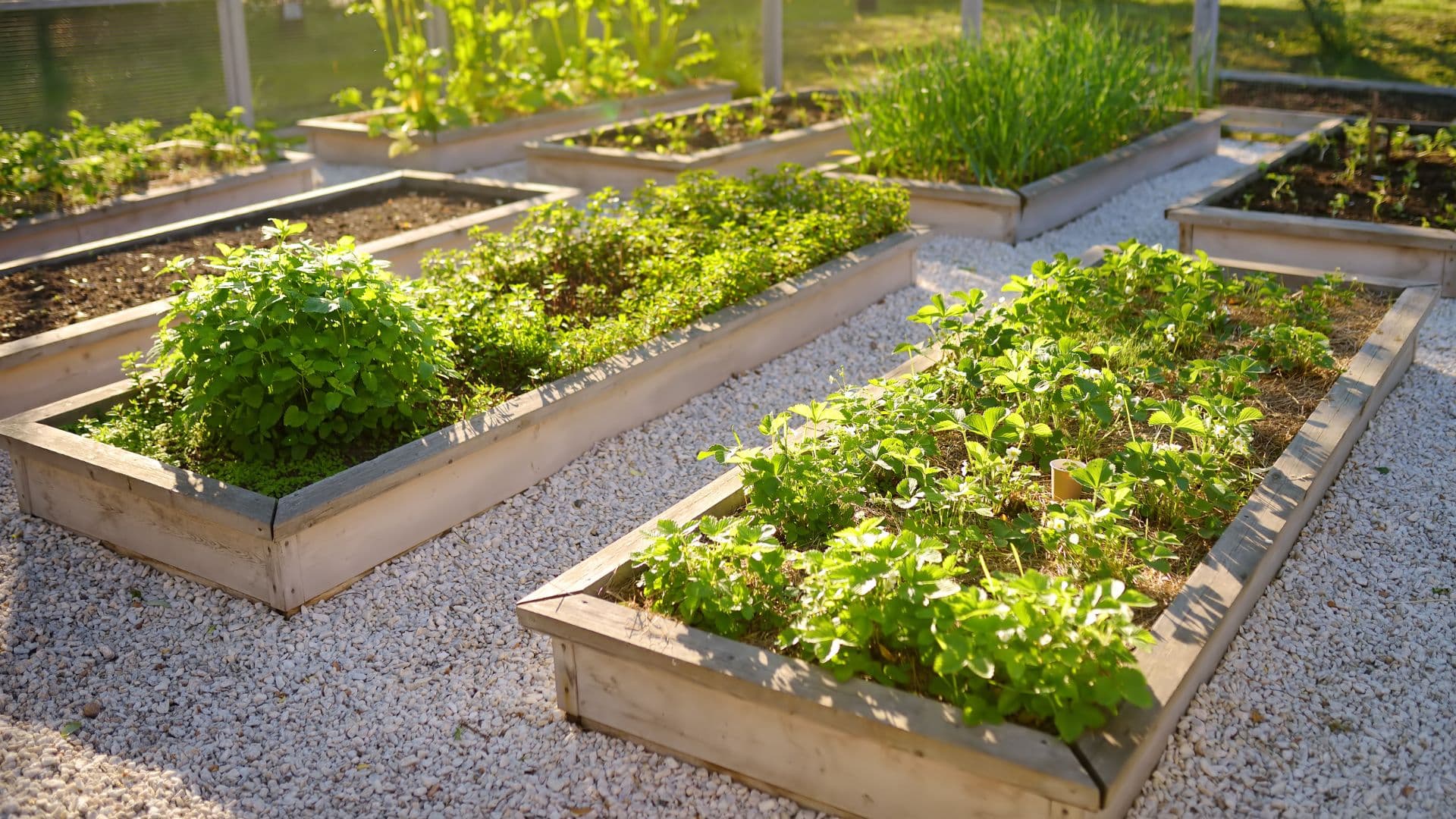Eco STP: A Vision for Sustainable Urban Living