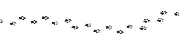 Petiquette: For Better Bonds Between Pet Owners and Neighbours