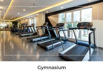Gymnasium