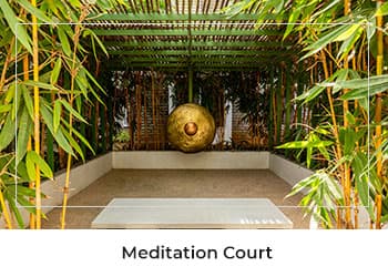Meditation Court