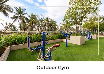 Outdoor Gym