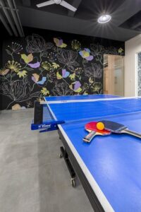 indoor recreation table tennis